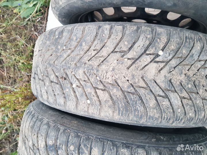 Nokian Tyres Hakkapeliitta 8 205/60 R16 98