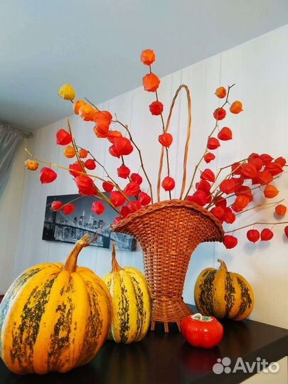 Физалис декоративный(Китайские фонарики)