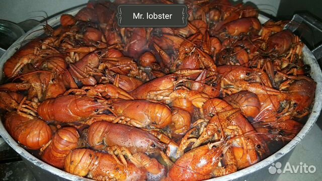 Mr crayfish's Mr crayfish's