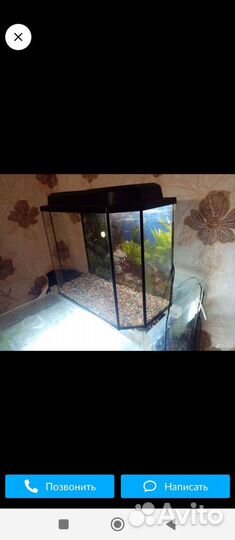 Аквариум 10 литров
