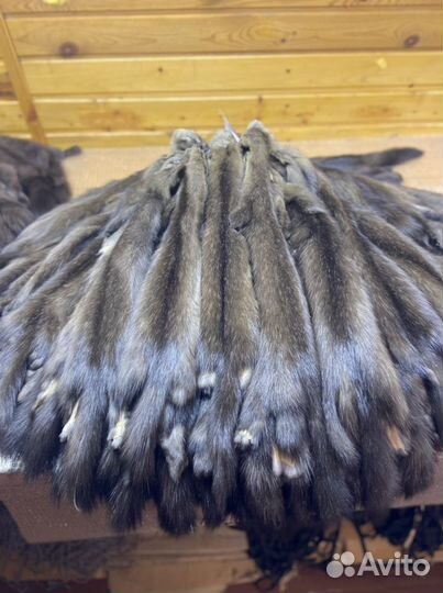 Пошив шубы из Соболя