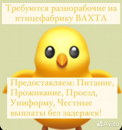 Разнорабочий Рефтинская птицефабрика (вахта)