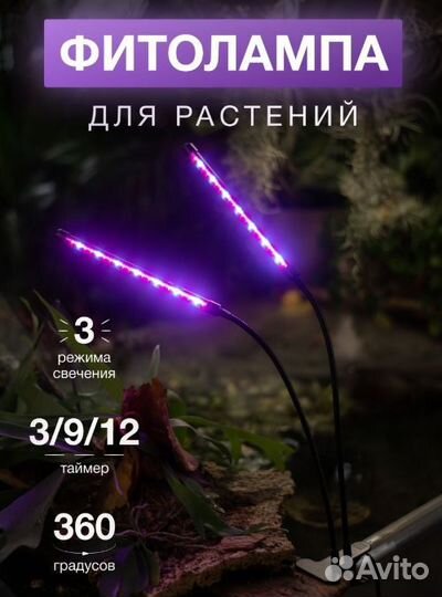 Новая Фитолампа для растений