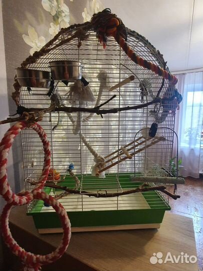 Клетка для попугая корелла