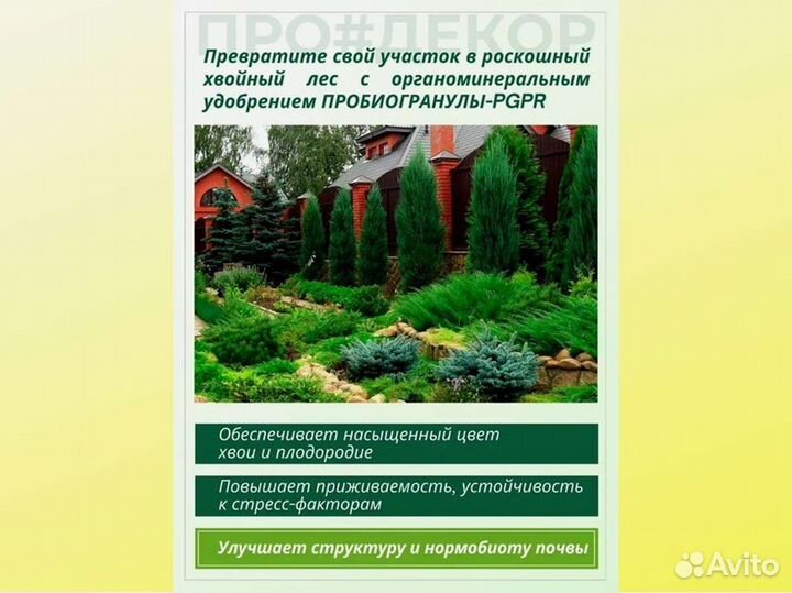 Пробиогранулы pgpr для хвойных