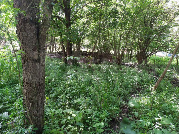 Участок 8 сот. (ИЖС)