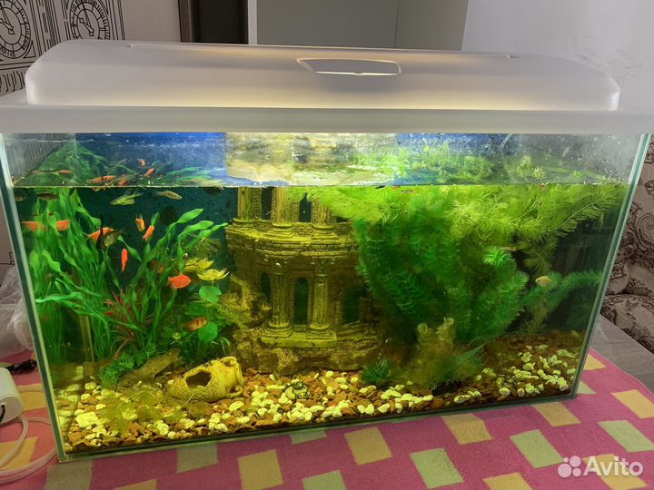Аквариум 100л