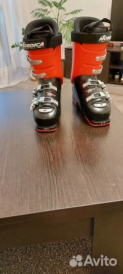 Горнолыжные ботинки