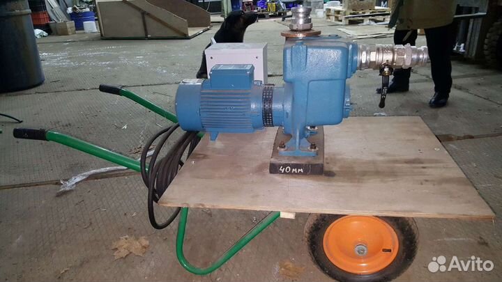 Насос дренажный Calpeda самовсос 57м3/час