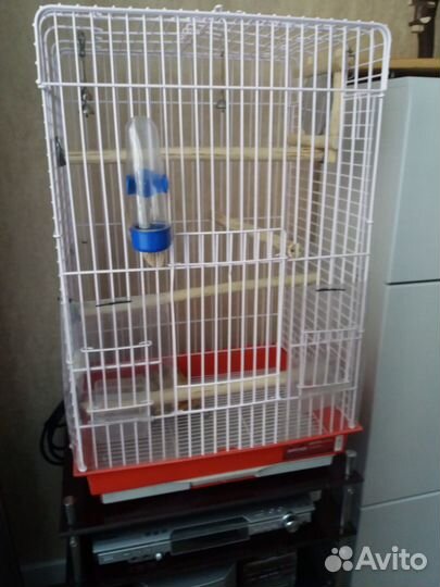 Клетка для среднего попугая