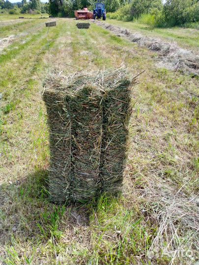 Сено в тюках