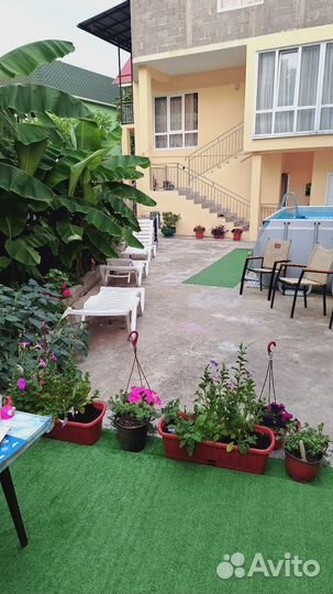 Отдых В Сочи Лоо