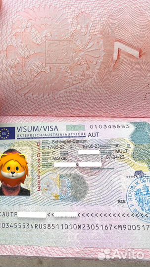 Шенгенская виза гарантирована до 5 лет