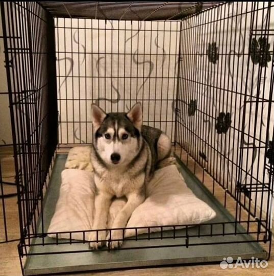 Клетки для собак/кошек, складные, поддон, 2 двери