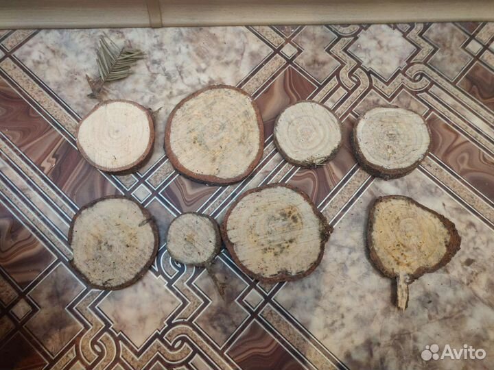 Спилы дерева для интерьера, отделки поделок