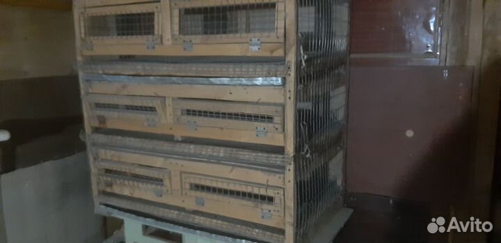 Клетка для перепелок