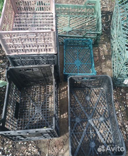 Ящики пластиковые