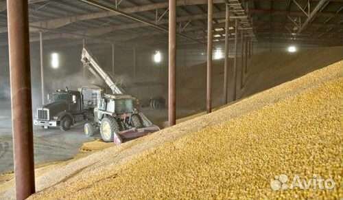 Соевое масло и жмых (опт) Экспорт. От производител