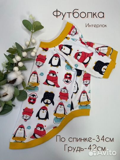 Одежда для животных(котов/кошек/сфинкса)