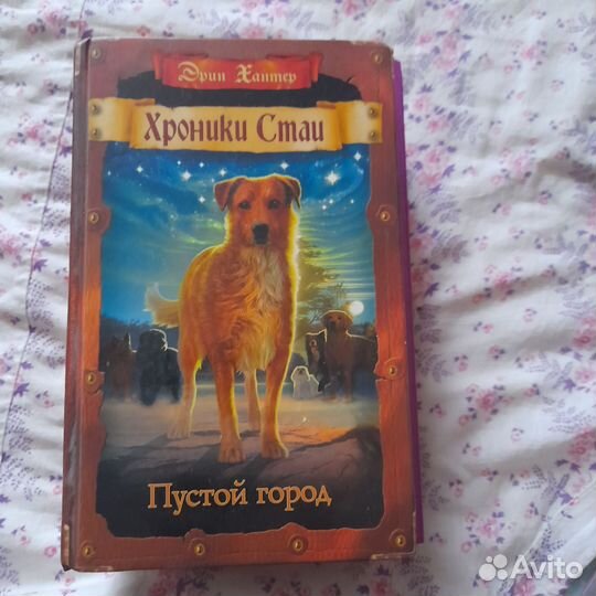 Хроники стаи пустой город