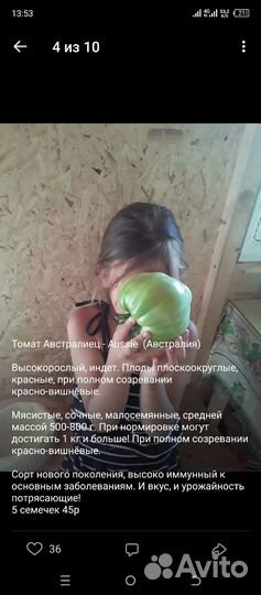 Семена овощей коллекционные