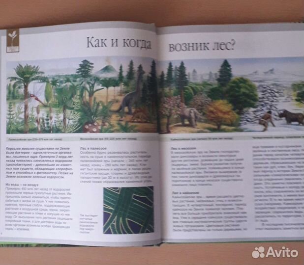 Книга Мир леса