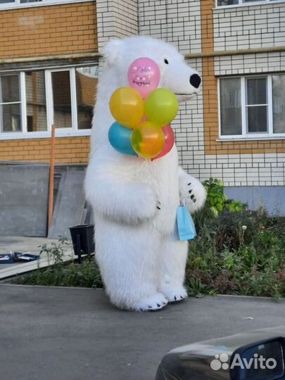 Медведь поздравление