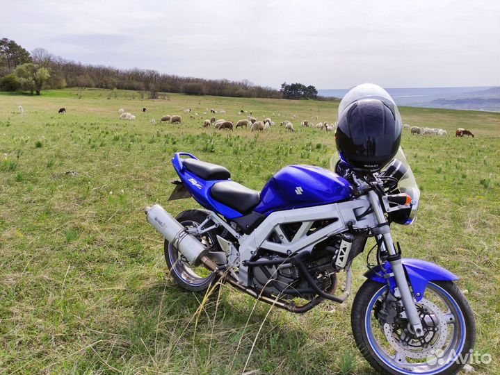 Sv 650 сузуки
