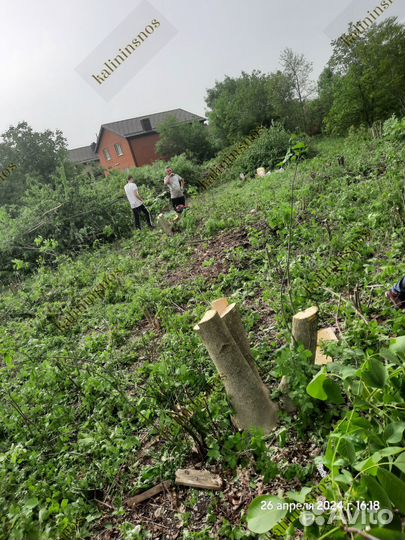 Расчистка участка