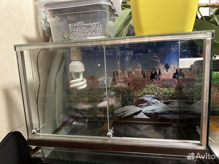 Террариум для рептилий с лампой и ковриком
