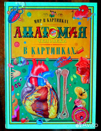 Анатомия человека в картинках Г.Юдин 2004