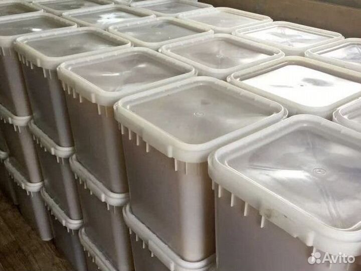 Мёд оптом всех сортов