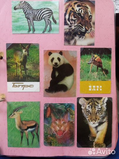 Фауна на карманных календарях