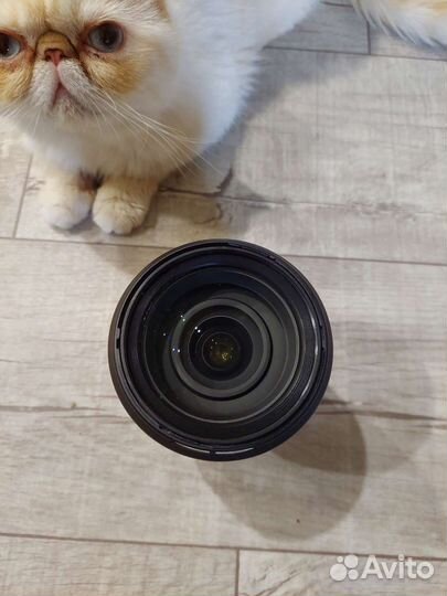 Tamron 24 70 2.8 canon