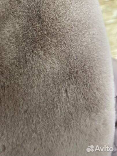 Куртка- пальто