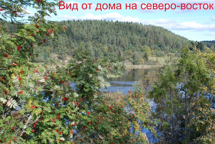 Участок 60 сот. (СНТ, ДНП)