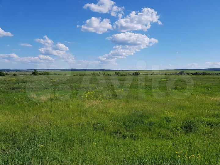 Участок 10 сот. (СНТ, ДНП)