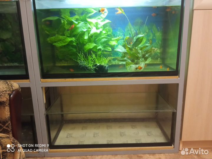 Аквариумы 100 л и 40 л (6 шт.)