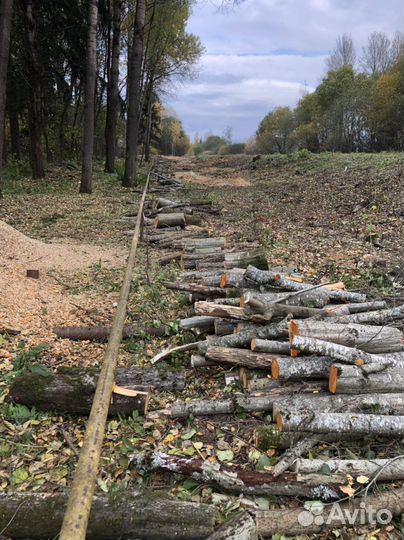 Спилить дерево