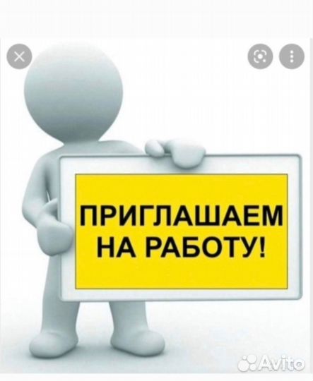 Счетчик ревизор
