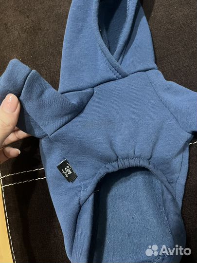 Одежда для кошек сфинкс