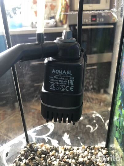 Аквариум