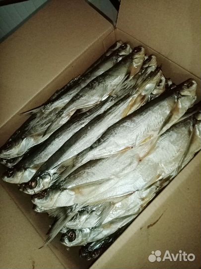 Астраханская вяленная рыба