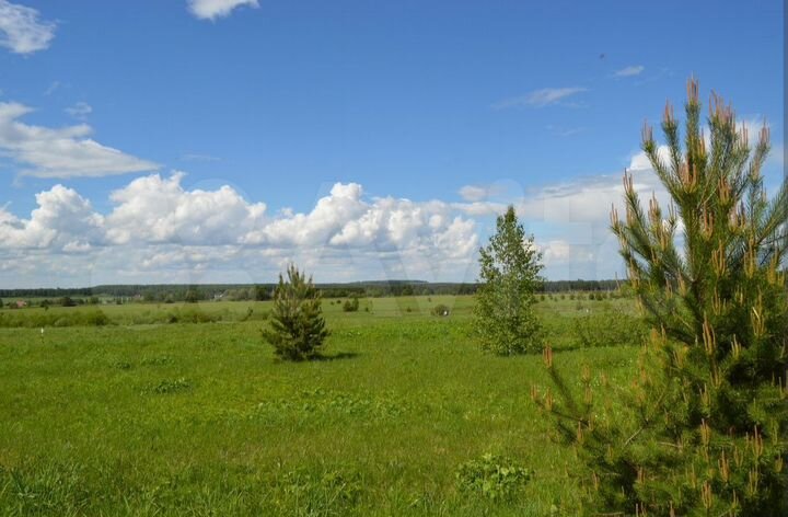 Участок 10 сот. (ИЖС)