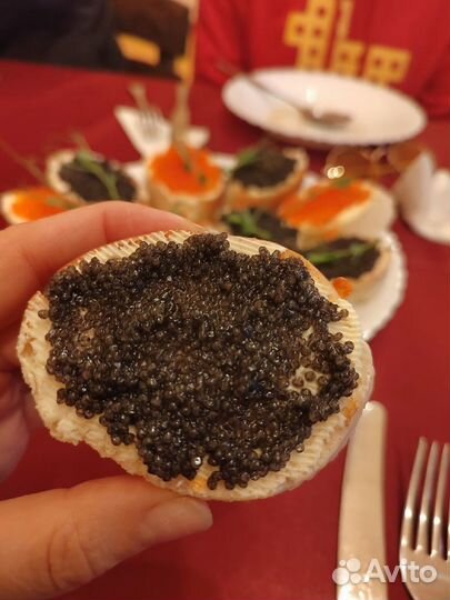 18авг24 Гастротур: 