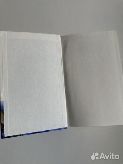 Беляев человек амфибия