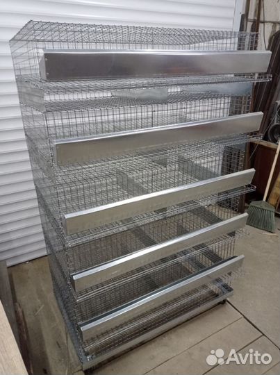 Клетка для перепелов