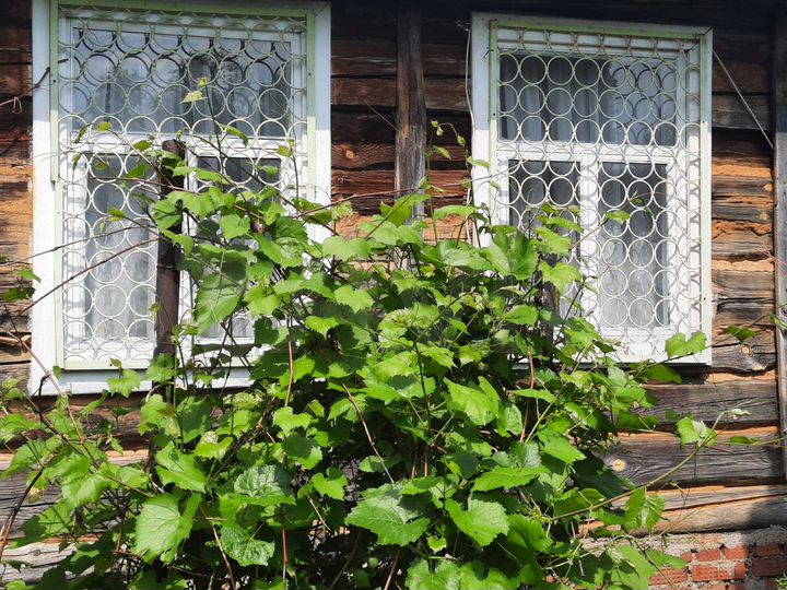 Дом 90 м² на участке 29 сот.