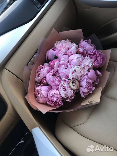 Цветы пионы