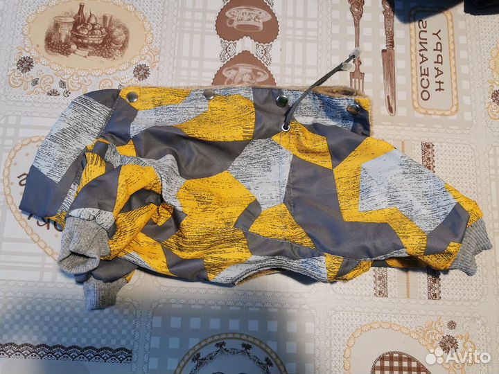 Одежда для маленьких собак